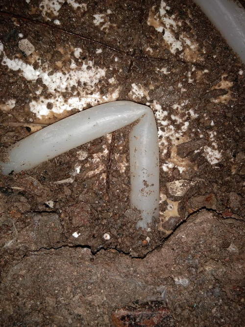 通江堵点精准查找